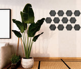 set mit 10 stuck acryl glanzendes schwarzes plexiglas 3 mm hexagon 10 cm