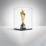 Acryl-Displaybox – Transparentes Präsentationsgehäuse für Figuren, Modelle & Sammelobjekte