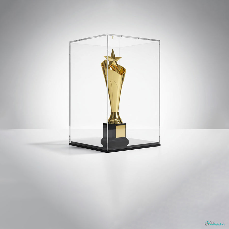 Acryl-Displaybox – Transparentes Präsentationsgehäuse für Figuren, Modelle & Sammelobjekte